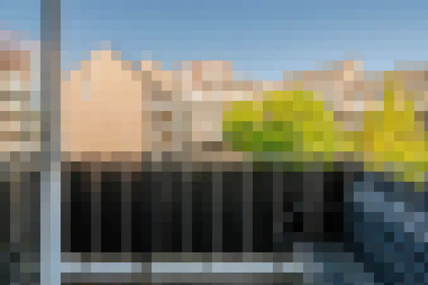 De Gouden Leeuw 156 Venray thumbnail 20
