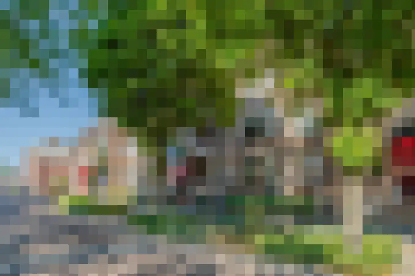 De Gouden Leeuw 156 Venray thumbnail 4