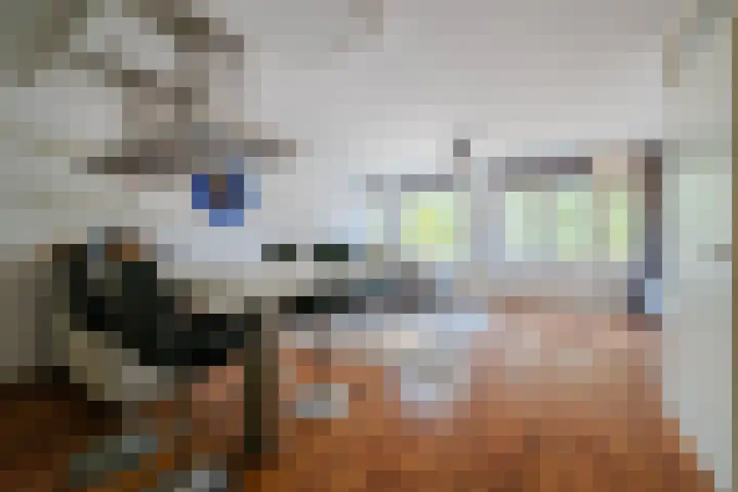 De Gouden Leeuw 156 Venray thumbnail 6