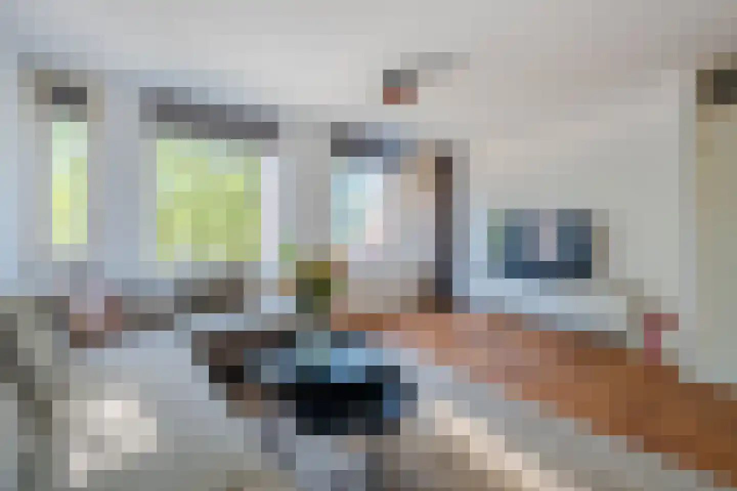 De Gouden Leeuw 156 Venray thumbnail 8