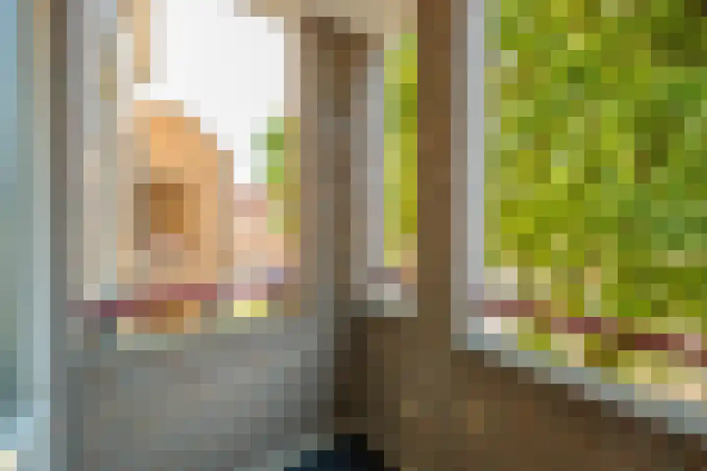De Gouden Leeuw 156 Venray thumbnail 9
