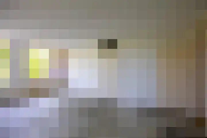De Gouden Leeuw 158 Venray thumbnail 13