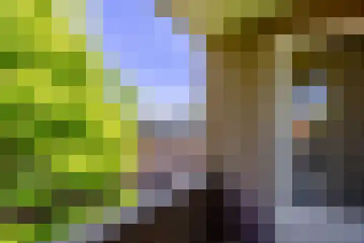 De Gouden Leeuw 158 Venray thumbnail 18