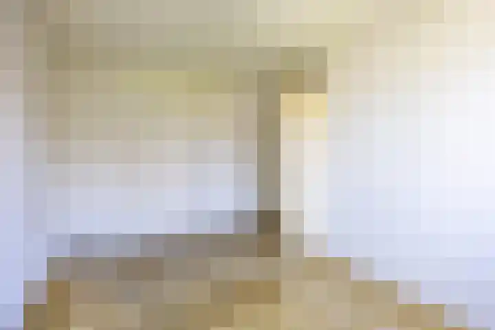 De Gouden Leeuw 158 Venray thumbnail 22