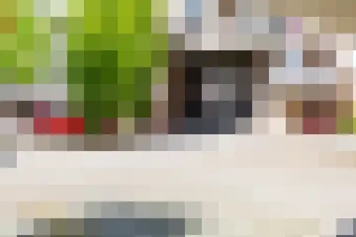 De Gouden Leeuw 158 Venray thumbnail 27