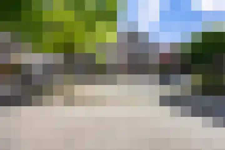 De Gouden Leeuw 158 Venray thumbnail 28