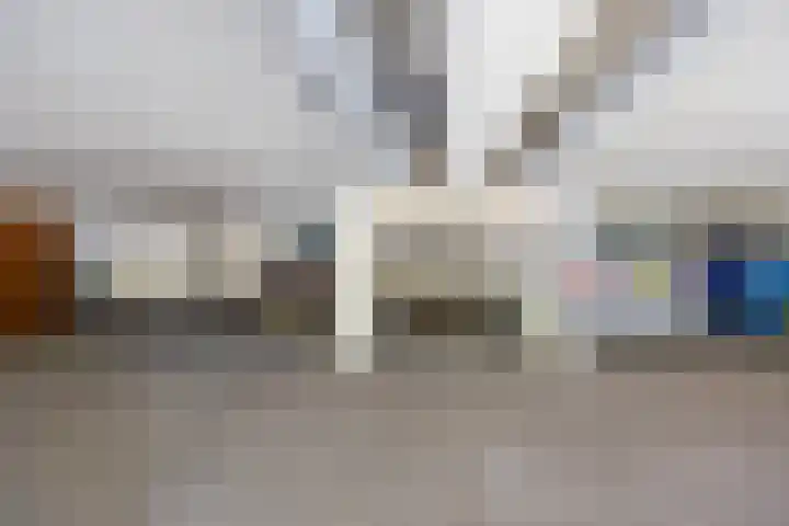 De Gouden Leeuw 158 Venray thumbnail 30