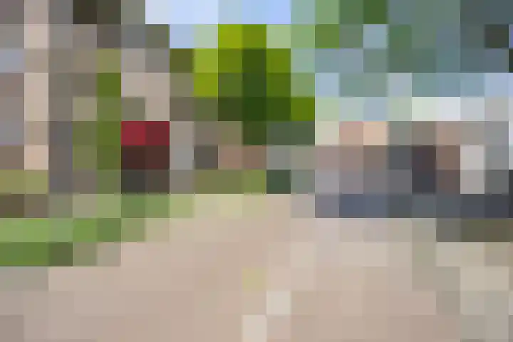 De Gouden Leeuw 158 Venray thumbnail 33