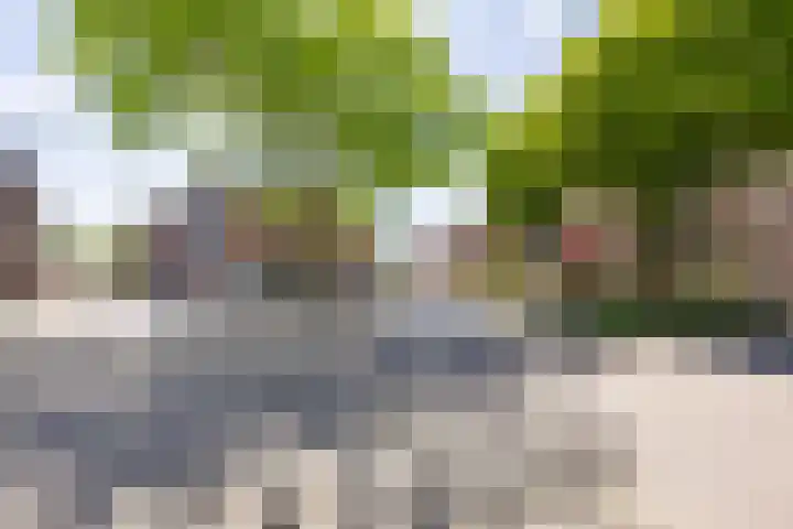 De Gouden Leeuw 158 Venray thumbnail 34