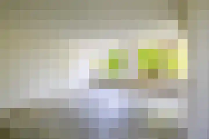 De Gouden Leeuw 158 Venray thumbnail 4