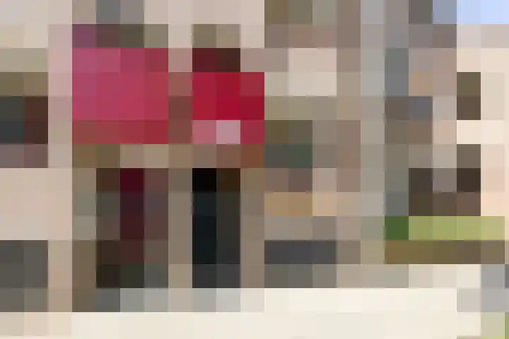 De Gouden Leeuw 158 Venray thumbnail 6