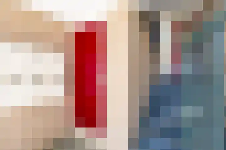 De Gouden Leeuw 158 Venray thumbnail 7
