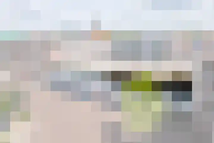 De Gouden Leeuw 17 in Venray