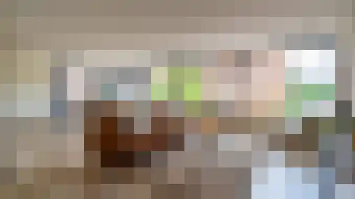 De Gouden Leeuw 17 Venray thumbnail 12