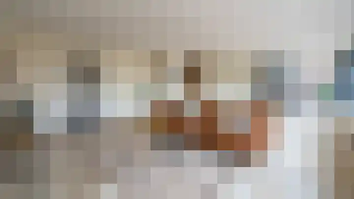 De Gouden Leeuw 17 Venray thumbnail 13
