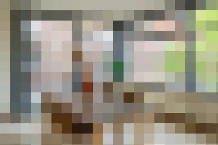 De Gouden Leeuw 17 Venray thumbnail 16