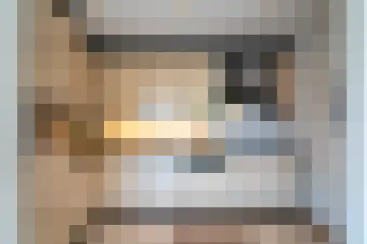 De Gouden Leeuw 17 Venray thumbnail 17