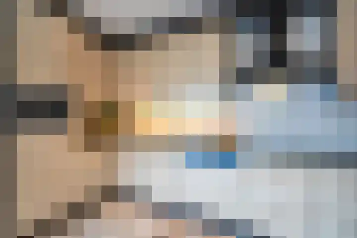 De Gouden Leeuw 17 Venray thumbnail 18