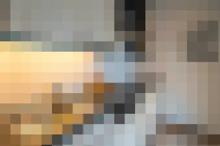 De Gouden Leeuw 17 Venray thumbnail 19