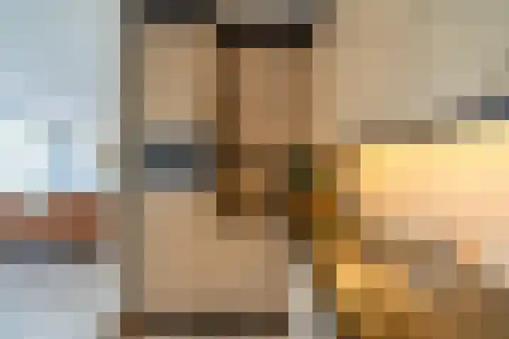 De Gouden Leeuw 17 Venray thumbnail 20