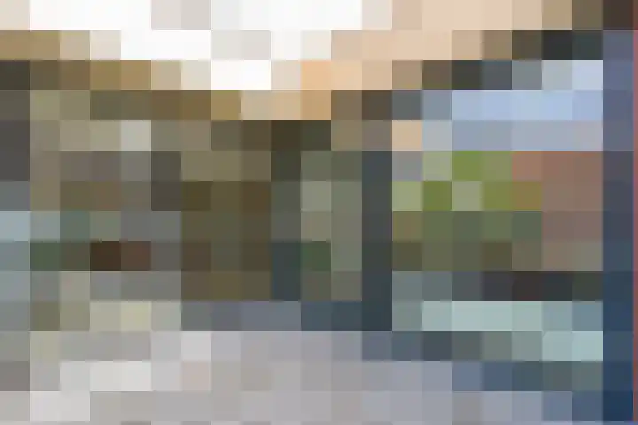 De Gouden Leeuw 17 Venray thumbnail 22