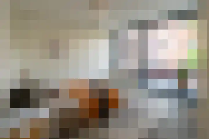 De Gouden Leeuw 17 Venray thumbnail 23