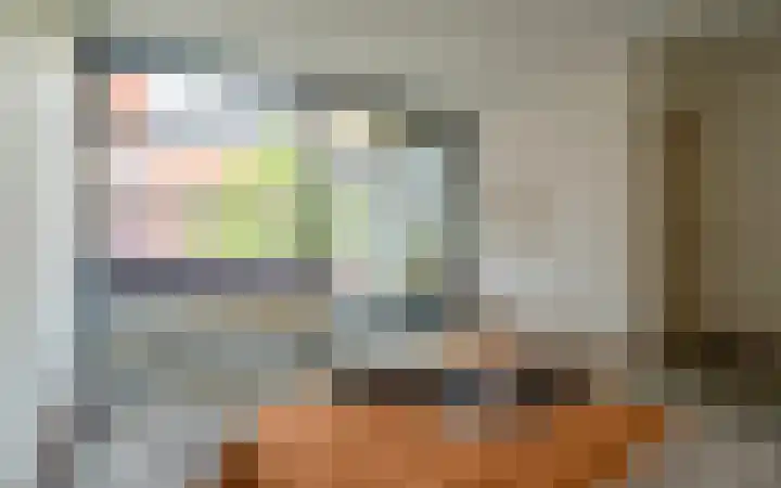 De Gouden Leeuw 17 Venray thumbnail 25