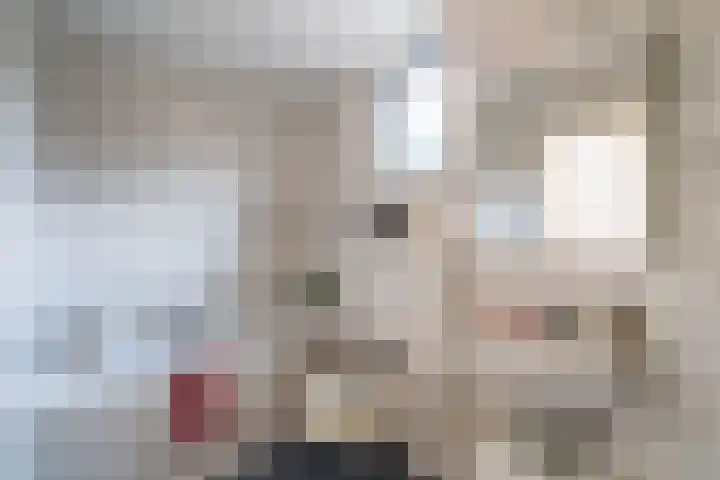 De Gouden Leeuw 17 Venray thumbnail 30
