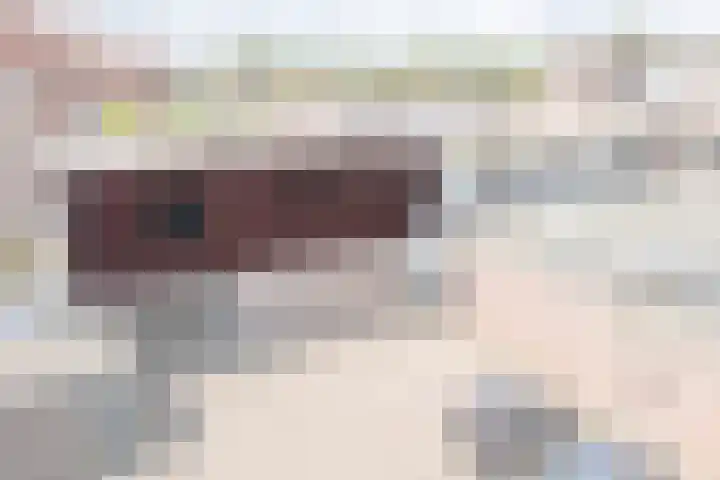 De Gouden Leeuw 17 Venray thumbnail 33