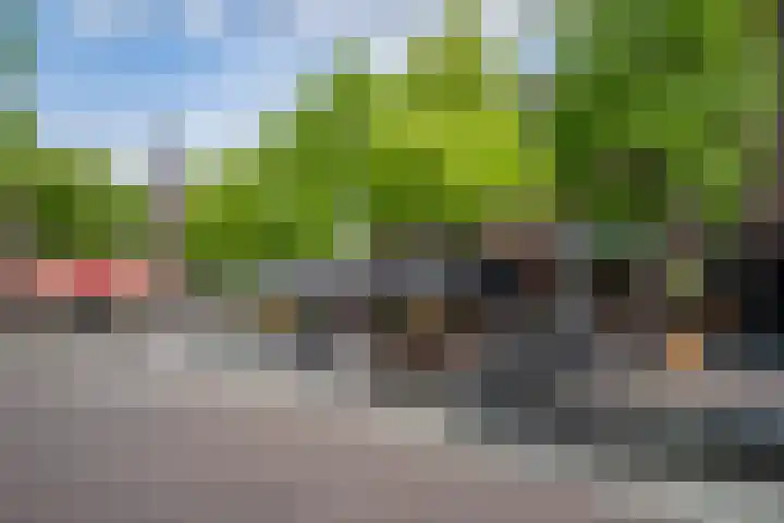 De Gouden Leeuw 17 Venray thumbnail 34