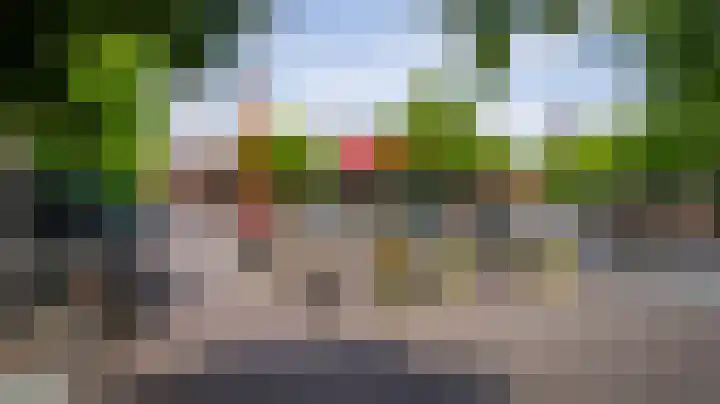 De Gouden Leeuw 17 Venray thumbnail 35