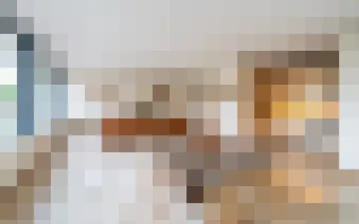 De Gouden Leeuw 17 Venray thumbnail 4