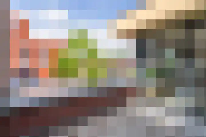 De Gouden Leeuw 17 Venray thumbnail 5