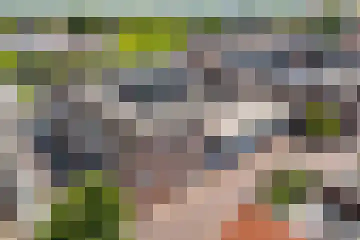 De Gouden Leeuw 17 Venray thumbnail 6