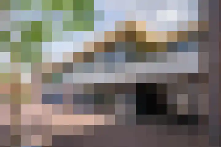 De Gouden Leeuw 17 Venray thumbnail 7