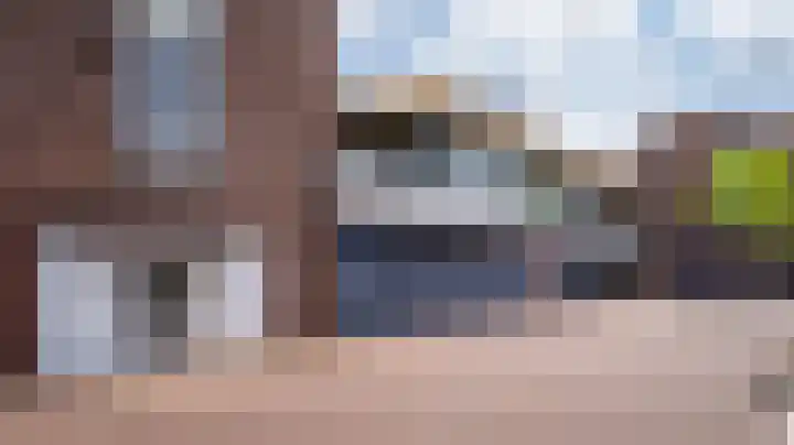 De Gouden Leeuw 17 Venray thumbnail 8