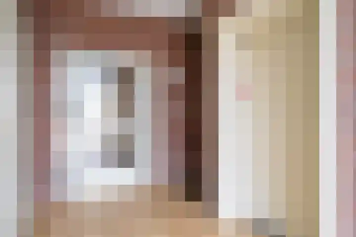 De Gouden Leeuw 17 Venray thumbnail 9