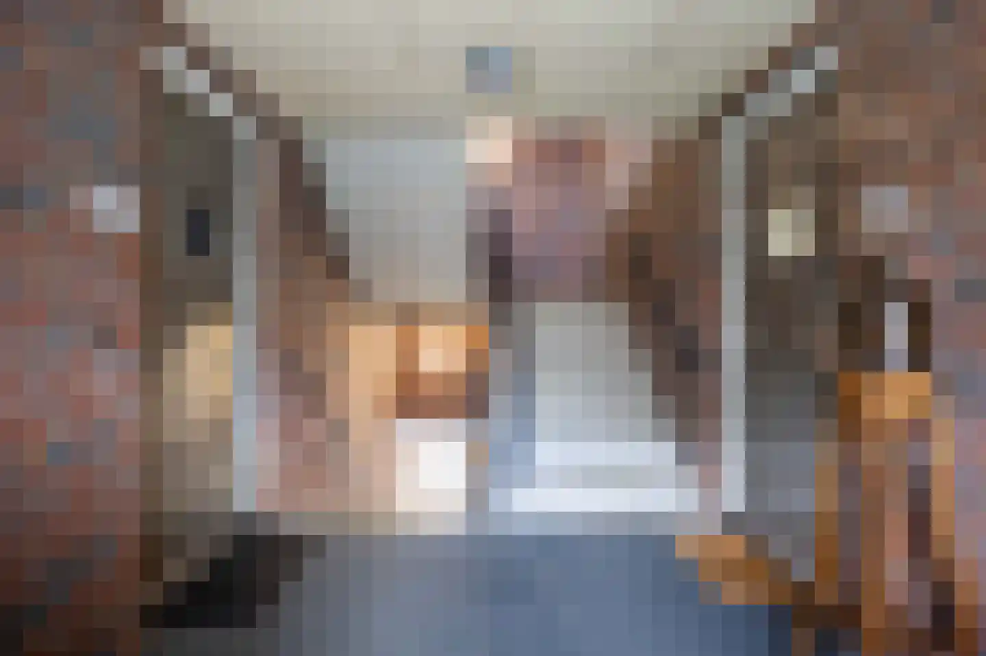 De Gouden Leeuw 18 A Venray thumbnail 6