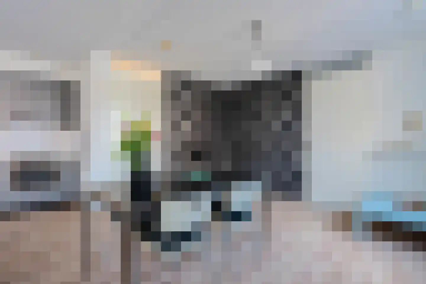 De Gouden Leeuw 20 Venray thumbnail 18