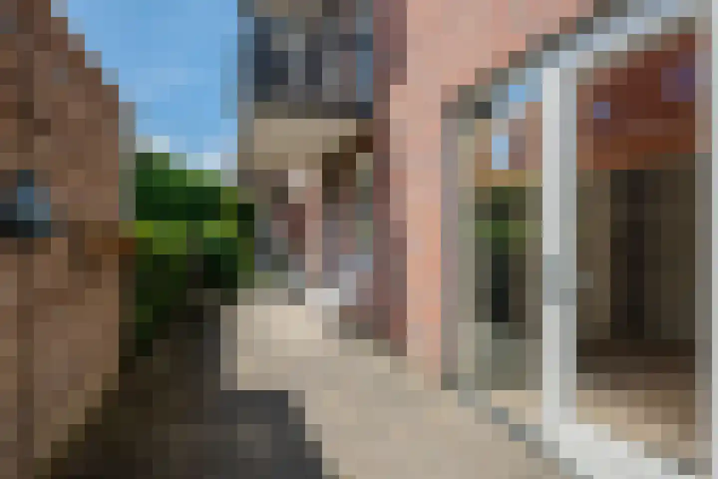 De Gouden Leeuw 20 Venray thumbnail 24