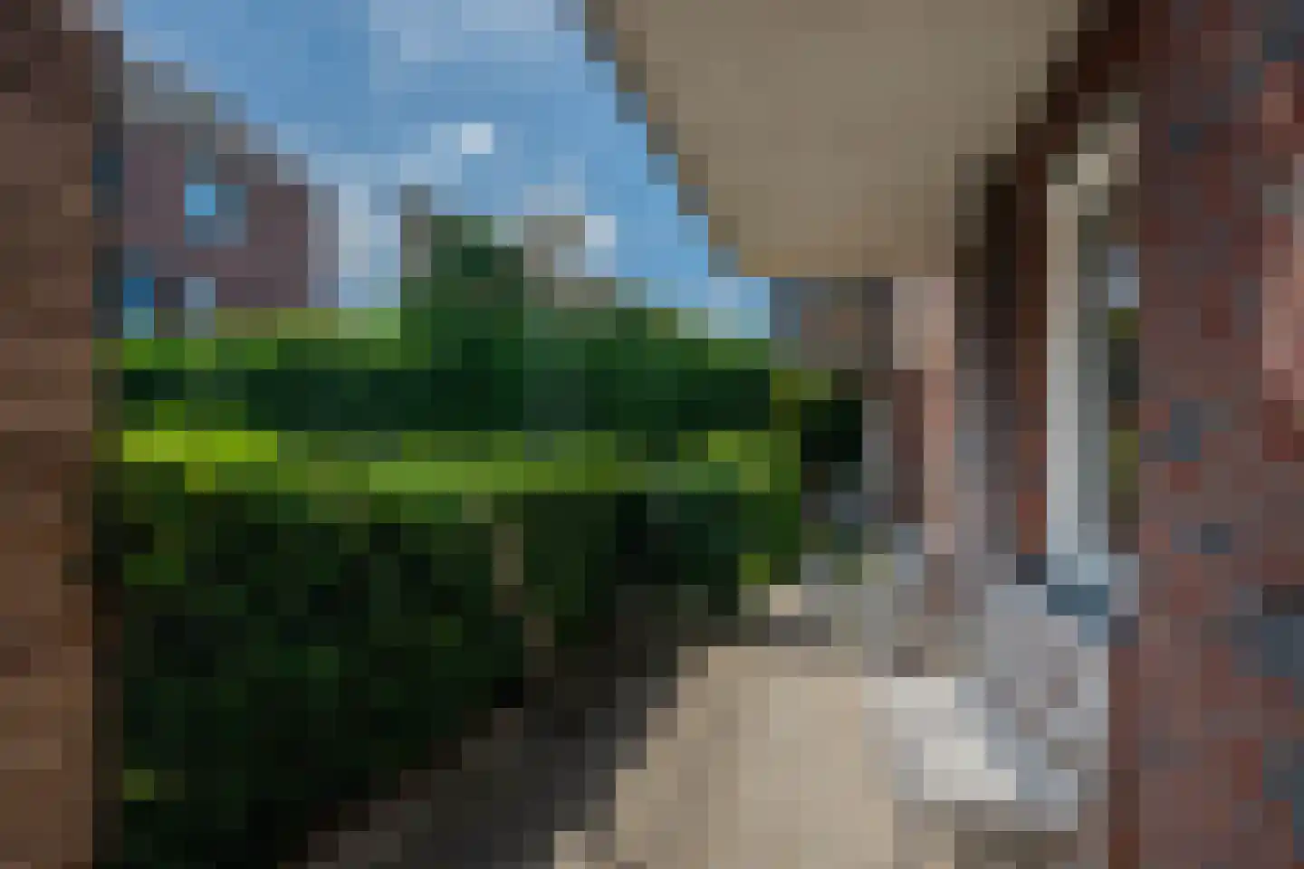 De Gouden Leeuw 20 Venray thumbnail 25