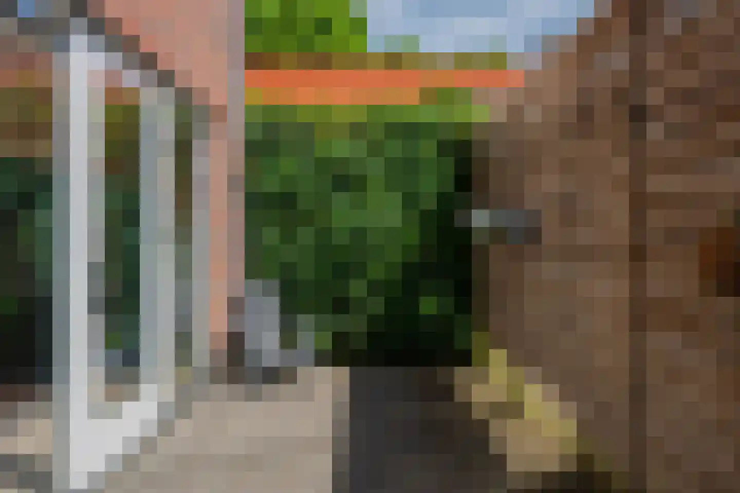 De Gouden Leeuw 20 Venray thumbnail 27