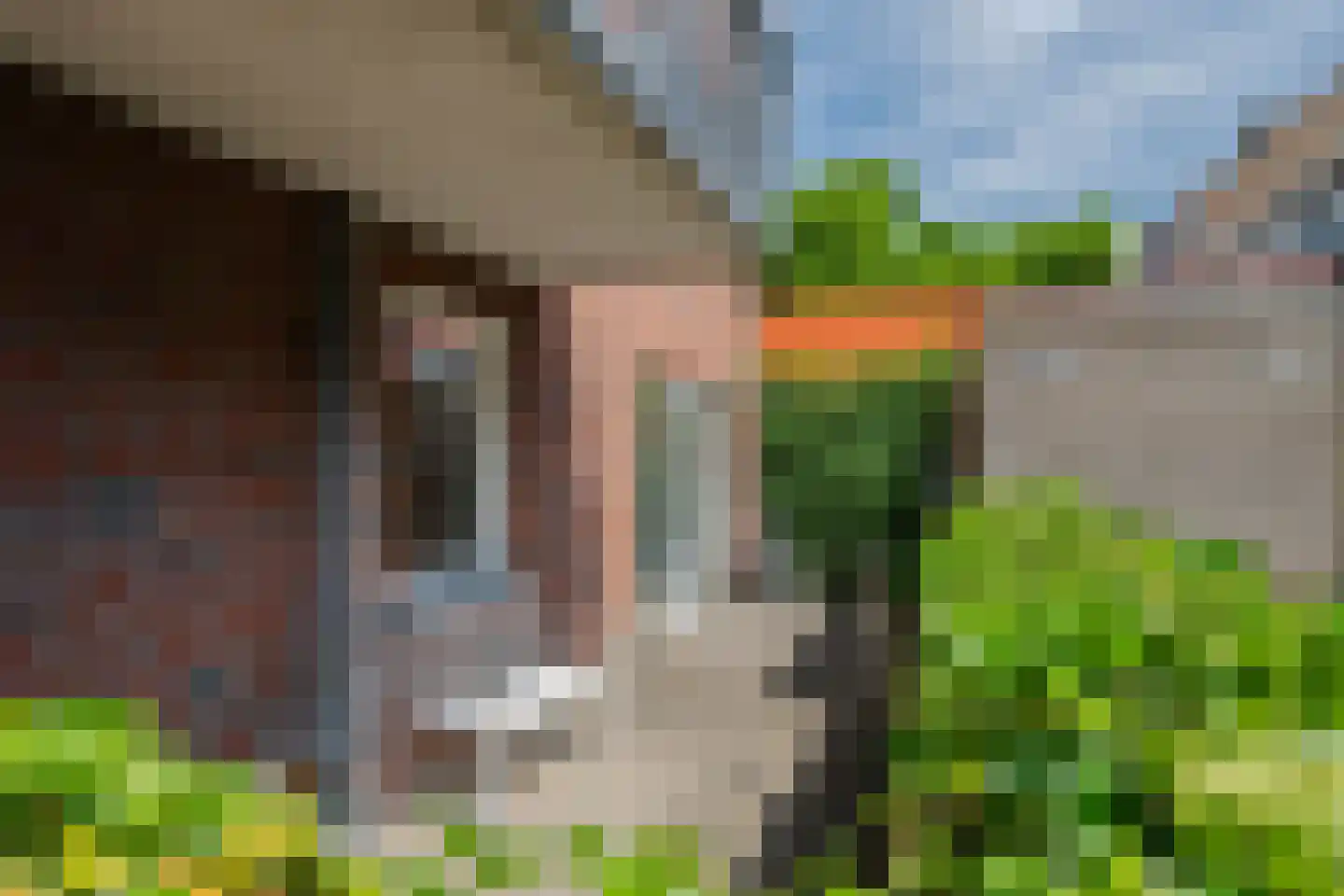 De Gouden Leeuw 20 Venray thumbnail 28