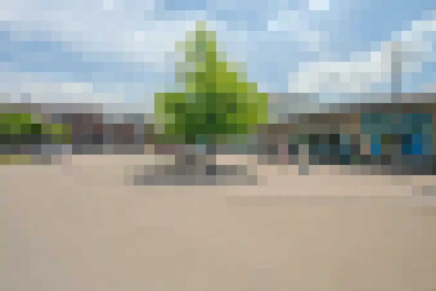 De Gouden Leeuw 20 Venray thumbnail 31