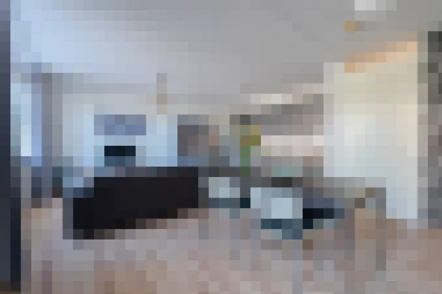 De Gouden Leeuw 20 Venray thumbnail 7