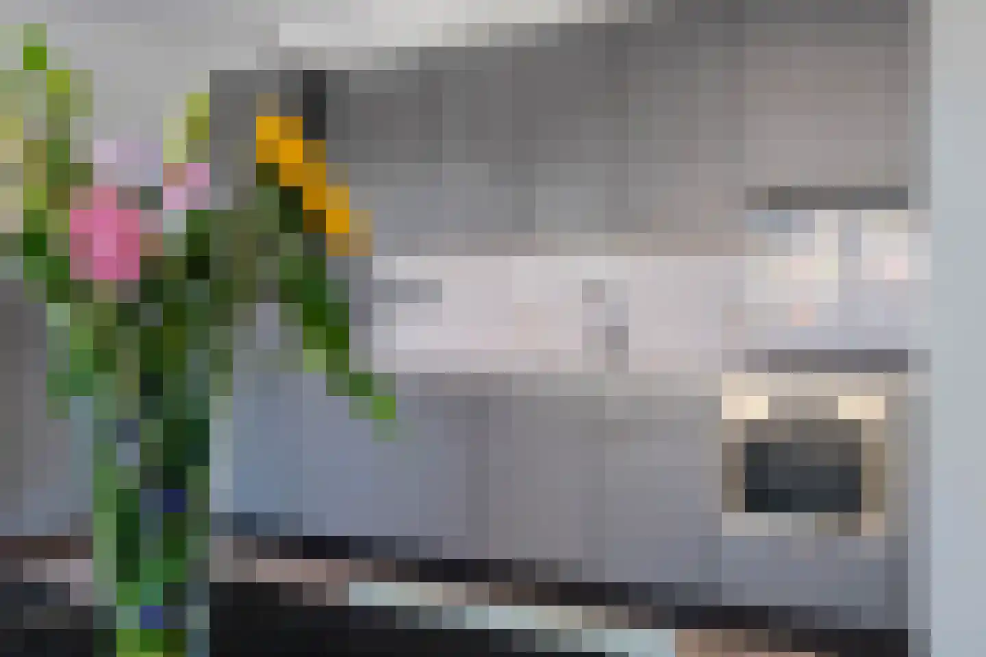 De Gouden Leeuw 20 Venray thumbnail 8