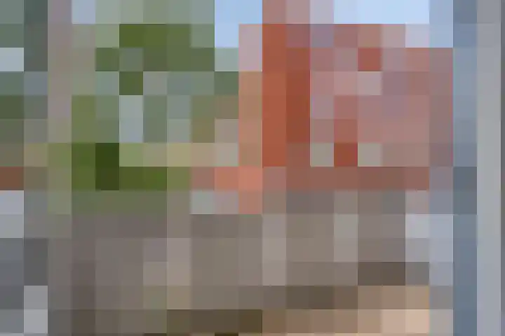 De Gouden Leeuw 45 Venray thumbnail 10