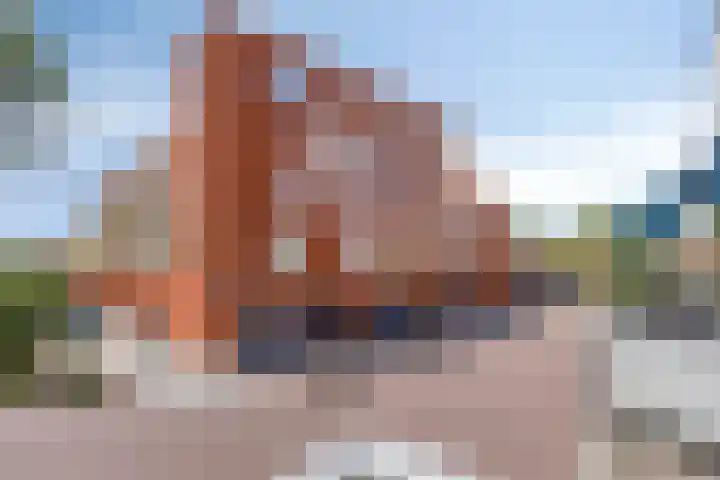 De Gouden Leeuw 45 Venray thumbnail 11