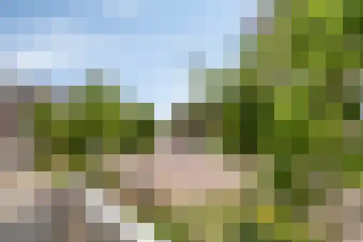 De Gouden Leeuw 45 Venray thumbnail 12