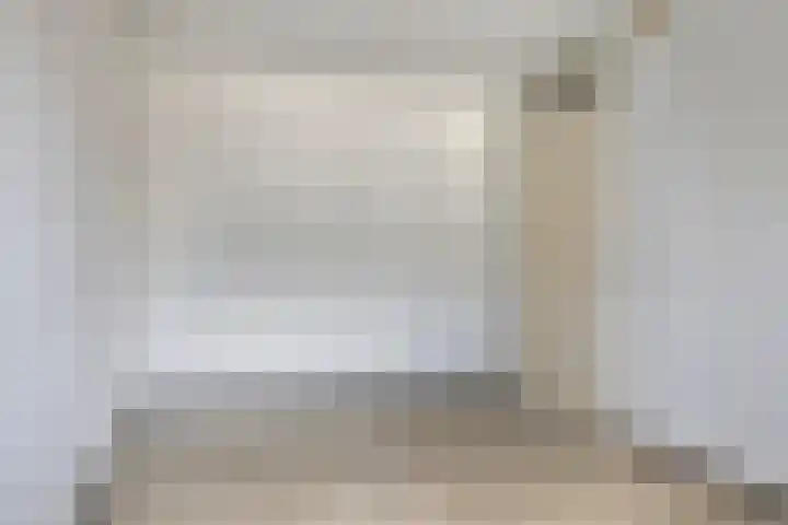 De Gouden Leeuw 45 Venray thumbnail 14